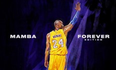 九游app下载-冰与火的对决，灰熊绝杀时刻，张镇麟的统治之夜