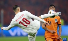 九游娱乐网站-荷兰惨遭淘汰，法国队进入欧锦赛半决赛