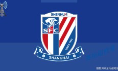 九游娱乐网页-申花苦战告捷，成功晋级亚冠强