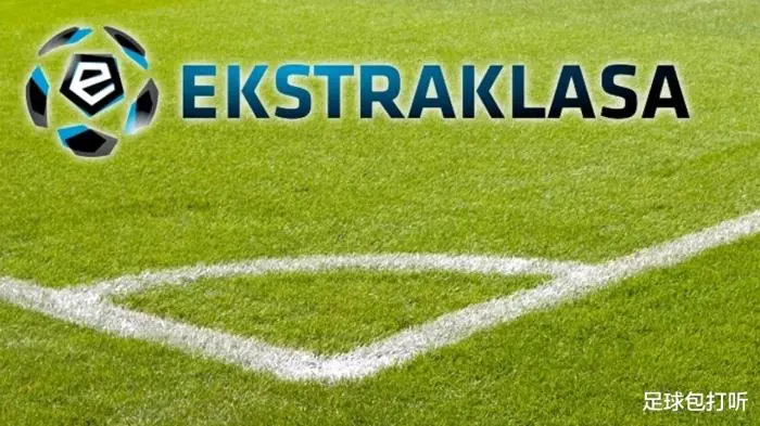 瑞典将与爱沙尼亚交锋，实力对比尽显勇气与拼搏的简单介绍