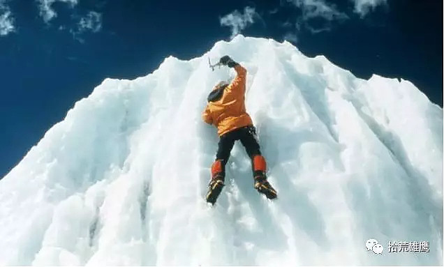 亚洲雄鹰所向披靡,遥望冠军似在眼前的简单介绍 亚洲雄鹰所向披靡,遥望冠军似在眼前的简单介绍