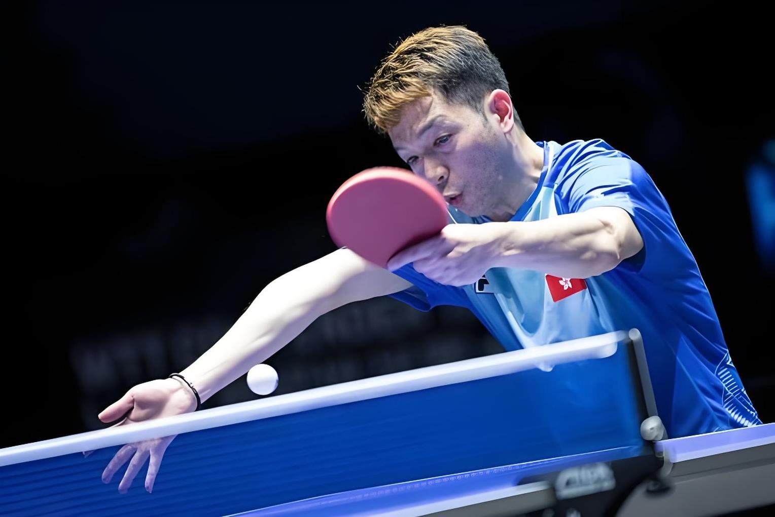 纷纷亮相赛场，球员实力获大众认可的简单介绍