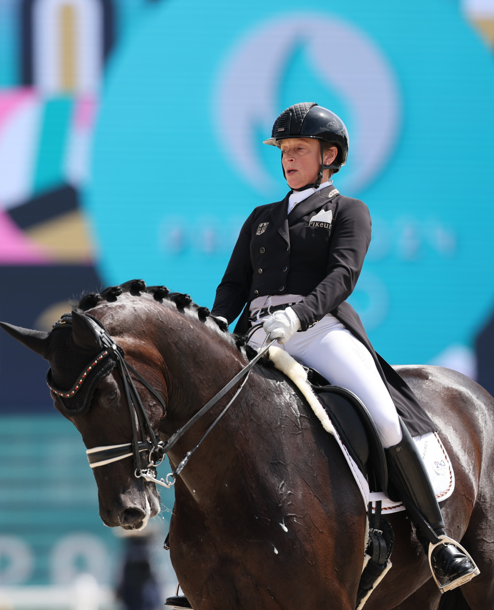 关于马术比赛：德国选手表现出众获得团体冠军的信息