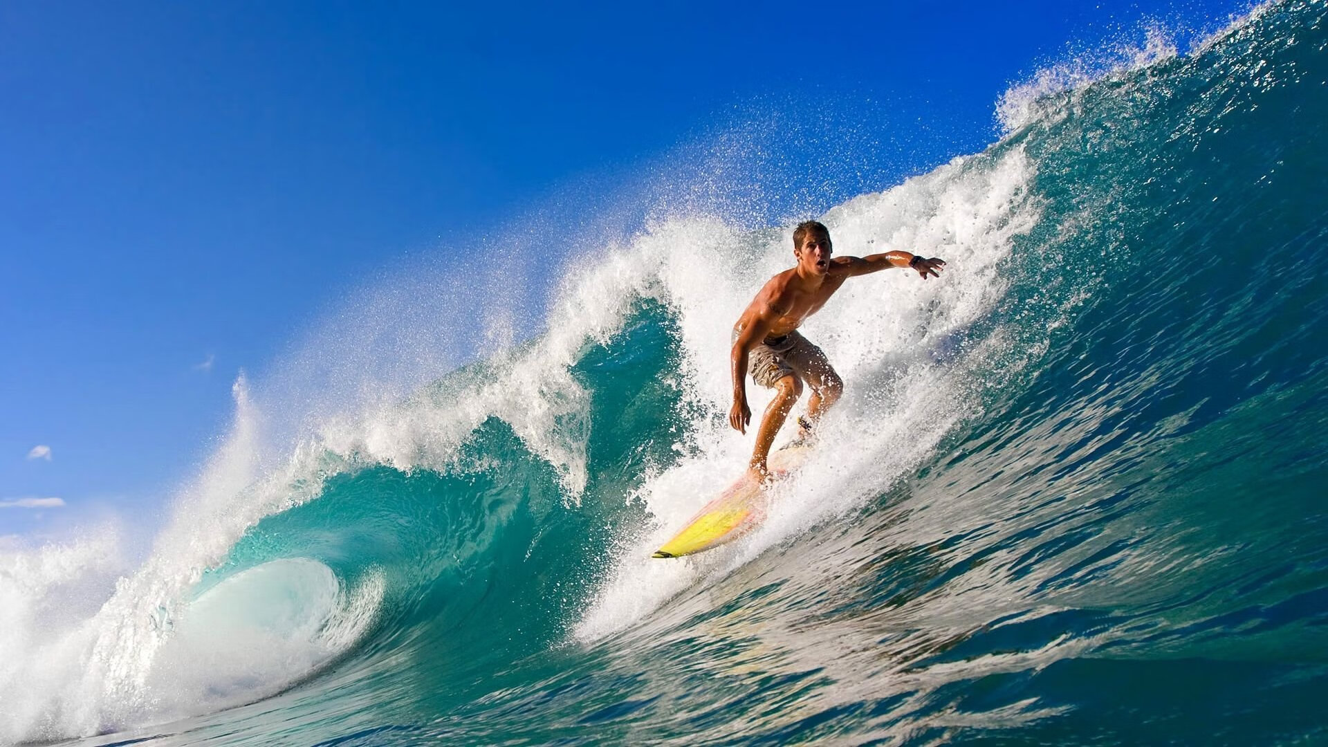 德甲争冠战焦点战,法国淘汰赛过关委内瑞拉,体育精神的跨洲交响