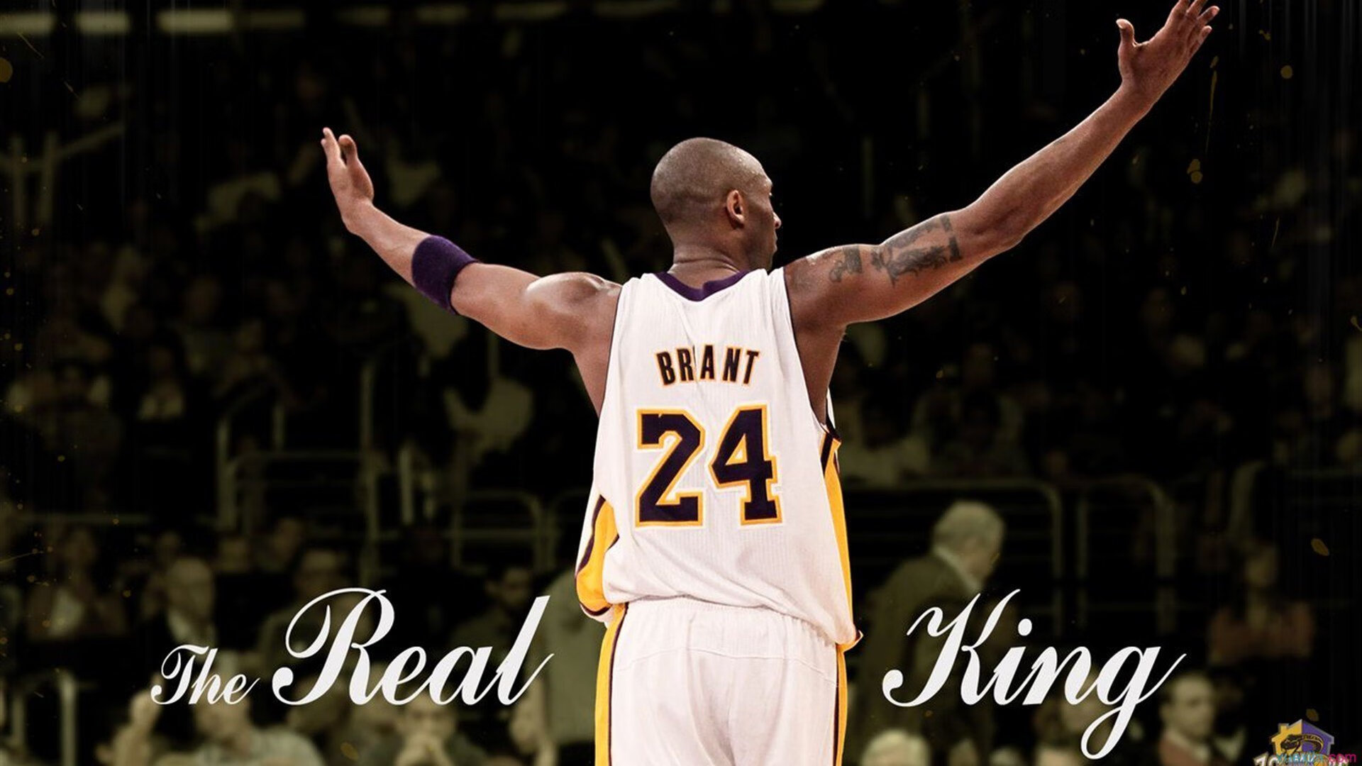 开拓者压制森林狼,英格拉姆如何带动全队节奏